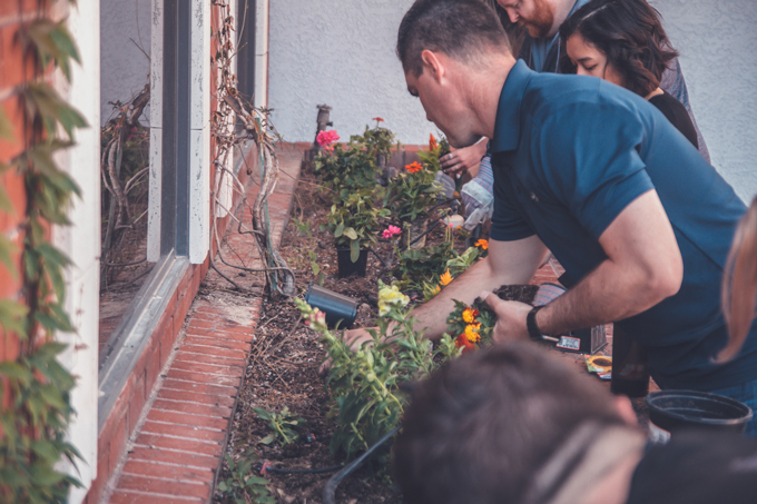 Garden Maintenance